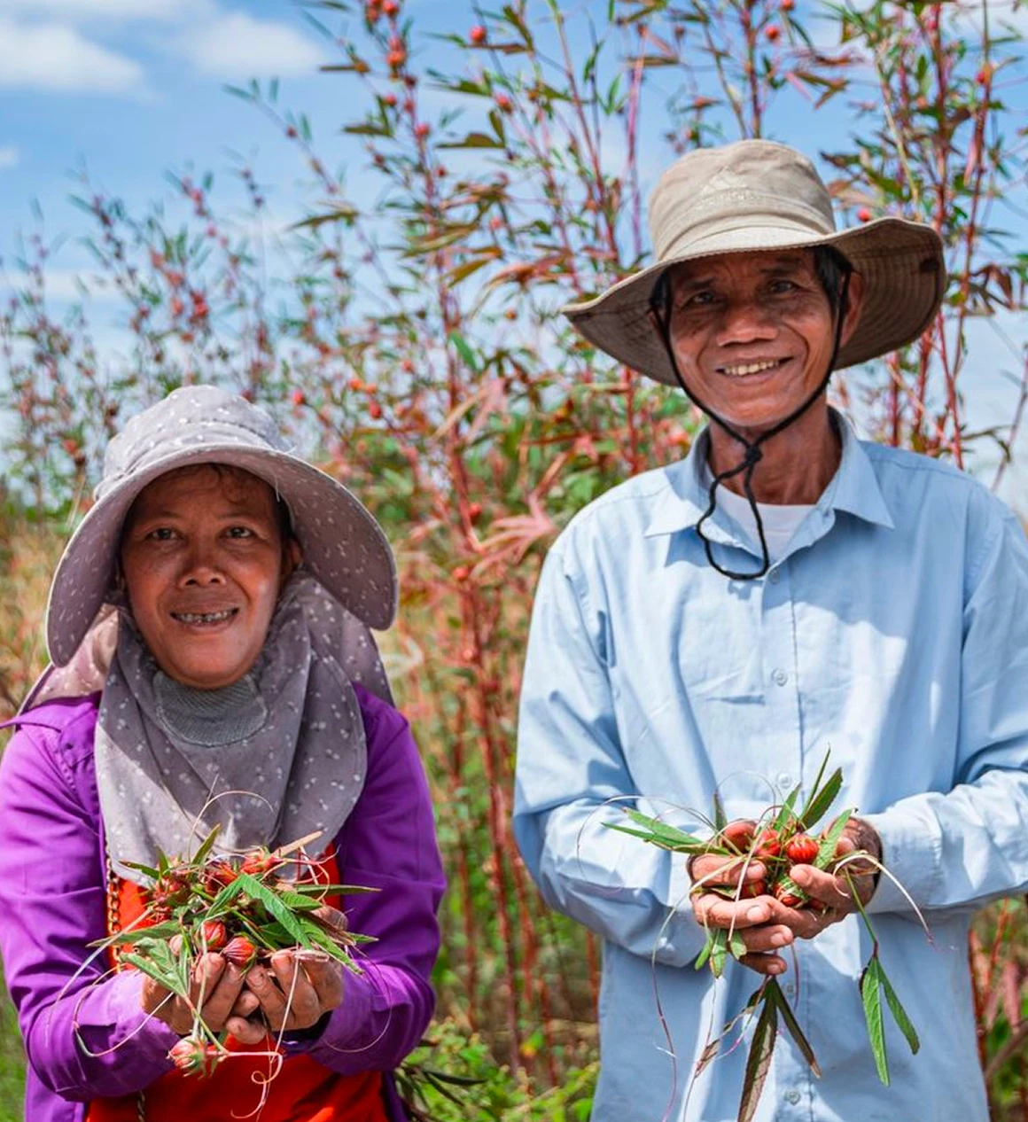 アジアのコーヒーとハーブティーのコンセプトイメージ